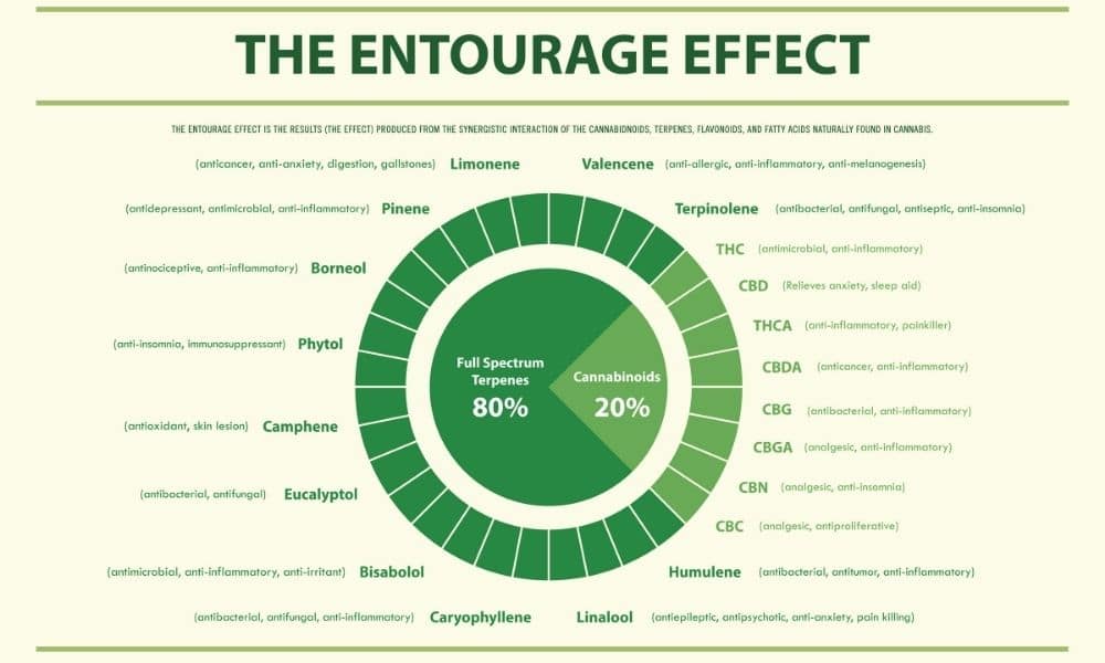 CBD THC facts