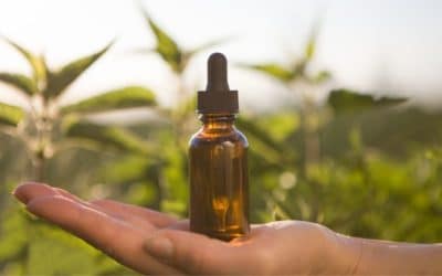 CBD Tincture Use Continues To Rise