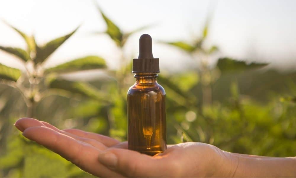 CBD Tincture Use Continues To Rise